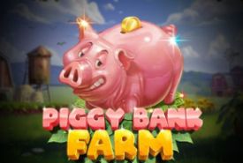 Piggy Bank Farm avis