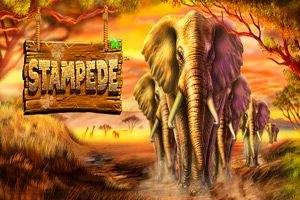 Stampede-slots